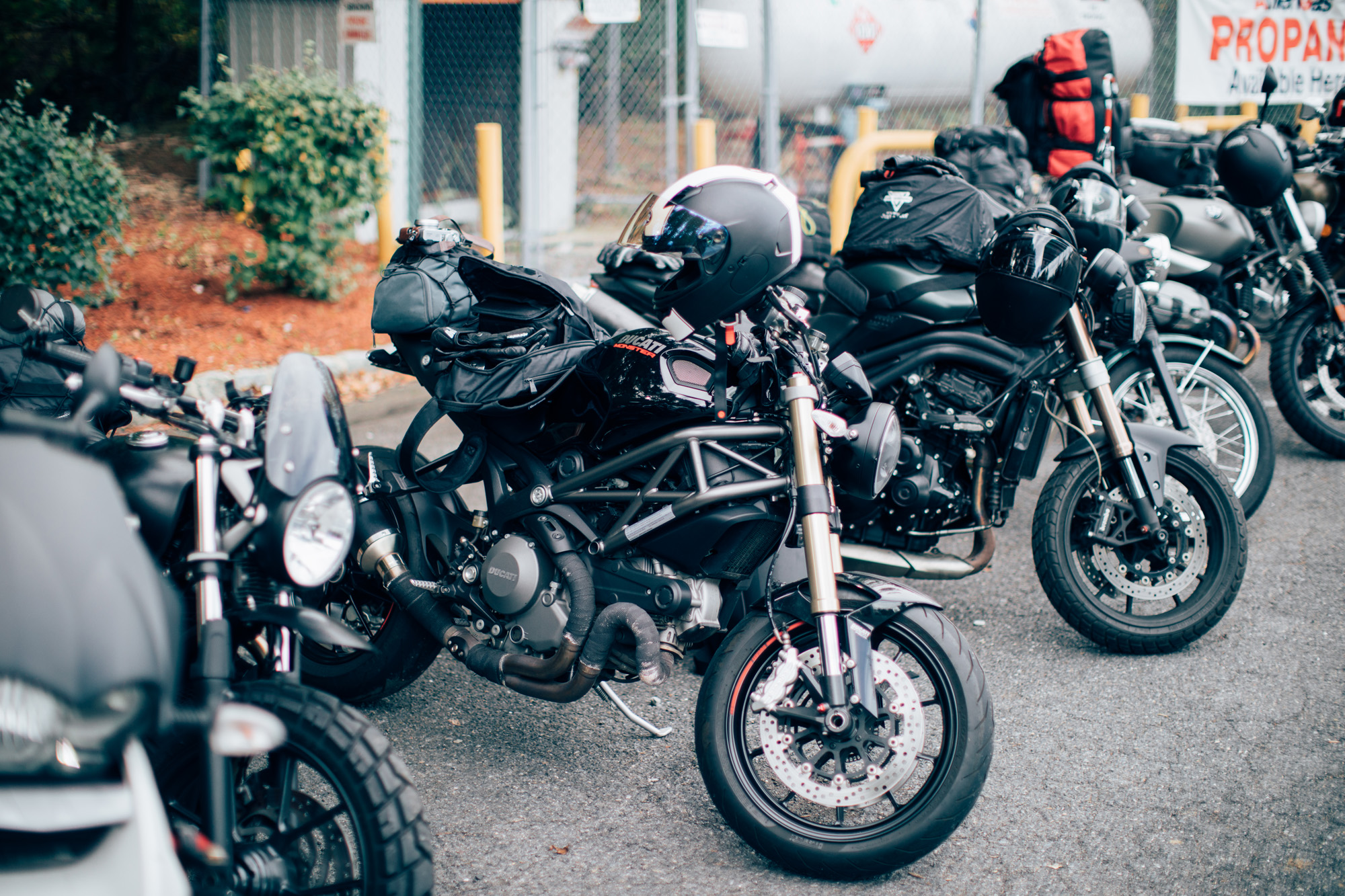 Ducati monster girl hotsell in the spider's web