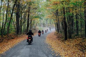 jacob.breinholt.nyc2019-7980